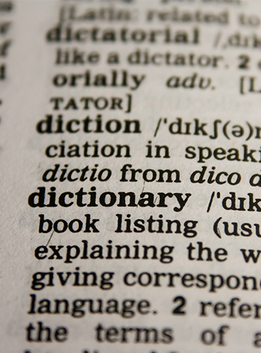 Translation Services